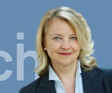 Executive für Automotive-Wirtschaft und Banken-Abwicklung