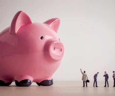 Payroll Outcourcing: Das Bild zeigt ein übergrosses, rosafarbenes Sparschwein.
