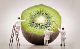 Endlich im Projekt: Darauf kommt es an