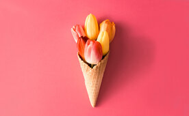 Wachstumsmarkt Biotechnologie 