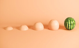 236_107_order_to_cash_intern_Fruechte