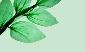 Interim-CEO bei einem Produzenten von Bio-Kunststoffen