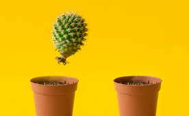 440_1110_restr_turnaround_standortverl_in_mexico_maschinen_anlagebau_automobilz