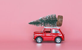 450_1203_restr_zukauf_franz_markt_anbau_vermark_tannen_fichten_internation_profitabel