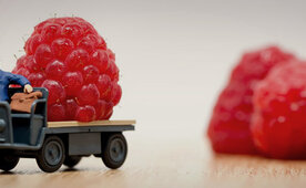 Erfolgsfaktoren für einen effizienten Vertrieb