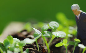 Schnelles Wachstum dank flexiblem HR-Management