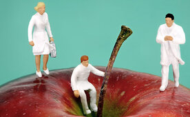 Neue Erfolgsstrategien für Unternehmen durch strukturiertes betriebliches Gesundheitsmanagement