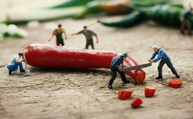 Versorgungssicherheit schaffen – und Kosten sparen