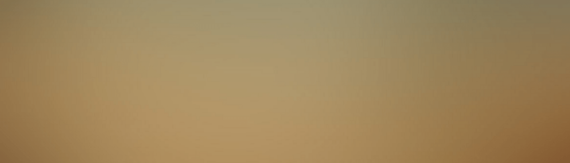 Blogbeiträge der Deutschen Interim AG