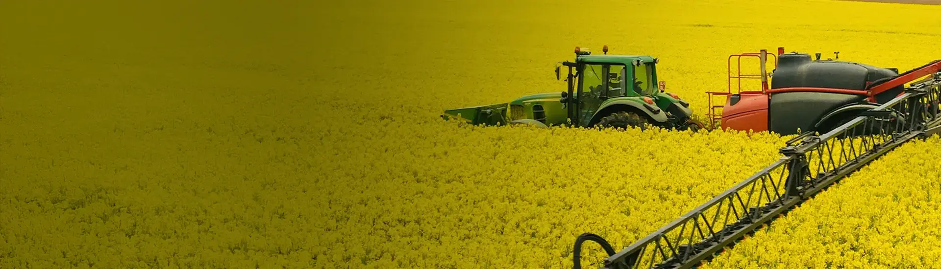 Interim Mananagement Agrarwirtschaft: Das Bild zeigt eine Erntemaschine, die ein Feld erntet.