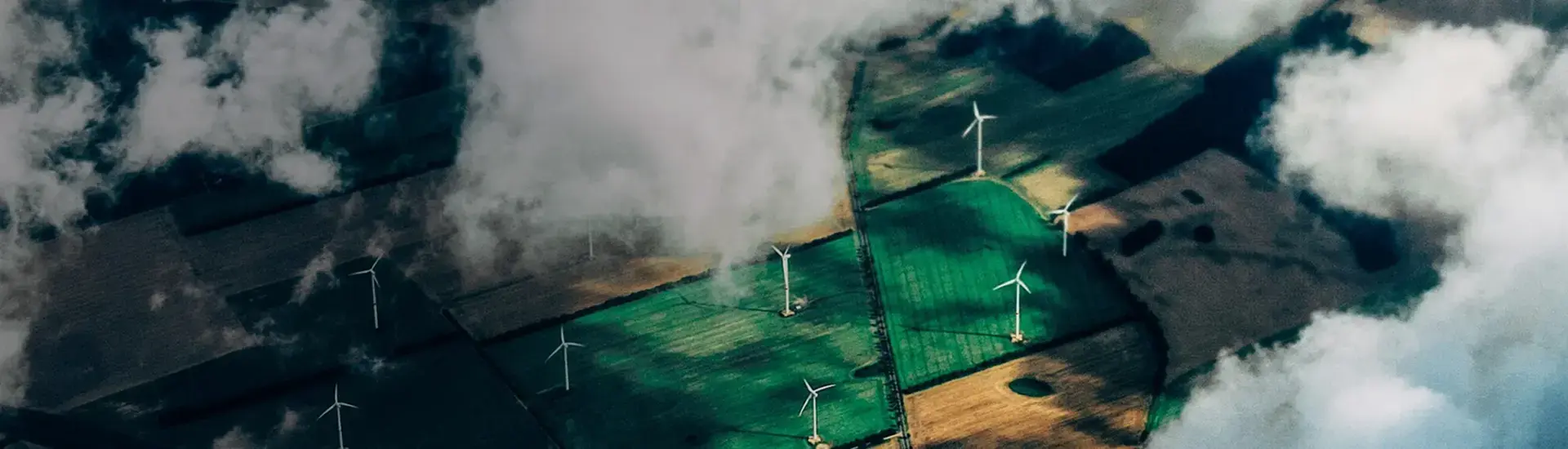 Interim Management Energie: Das Bild zeigt ein Feld mit Windkrafträdern.