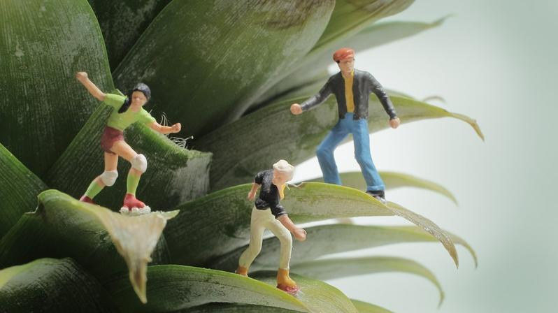 Agiles Projektmanagement im Marketing: Das Bild zeigt Figuren, die auf einer Pflante klettern.