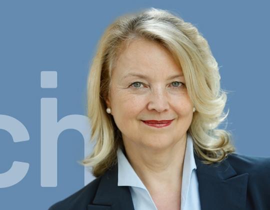 Executive für Automotive-Wirtschaft und Banken-Abwicklung