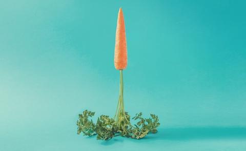 243_114_Verkaufsbegl_ecommerce_start_up_gesund