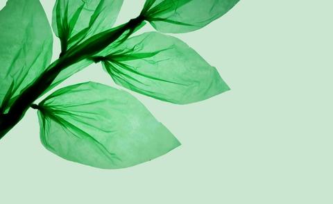 Interim-CEO bei einem Produzenten von Bio-Kunststoffen